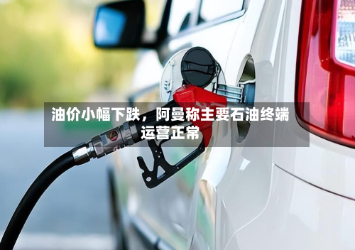 油价小幅下跌，阿曼称主要石油终端运营正常-第2张图片