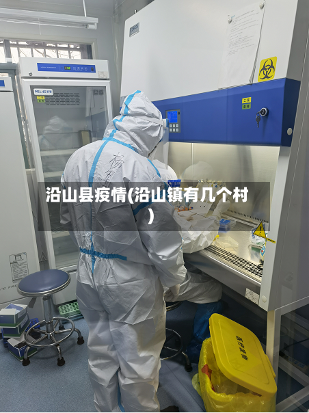 沿山县疫情(沿山镇有几个村)-第3张图片