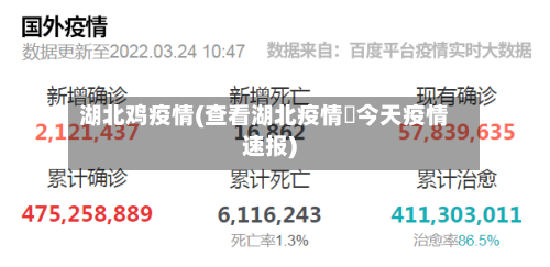 湖北鸡疫情(查看湖北疫情査今天疫情速报)-第3张图片