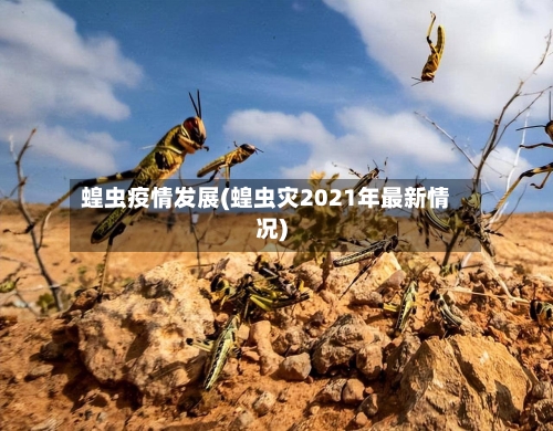 蝗虫疫情发展(蝗虫灾2021年最新情况)