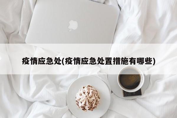 疫情应急处(疫情应急处置措施有哪些)
